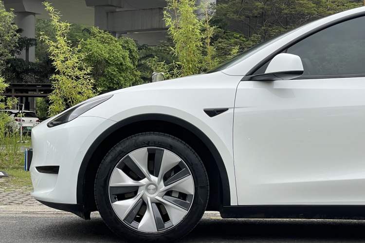 Used Tesla Model Y 2022 Rear-Wheel-Drive Version Exterior 3