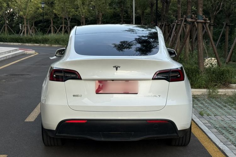 Used Tesla Model Y 2022 Rear-Wheel-Drive Version Exterior 3