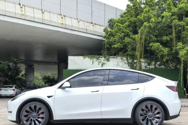 Used Tesla Model Y 2022 Performance High-Performance All-Wheel-Drive Version Exterior 3
