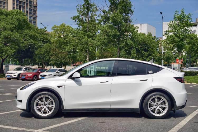 Used Tesla Model Y 2022 Revised Version Rear-Wheel Drive Exterior 3