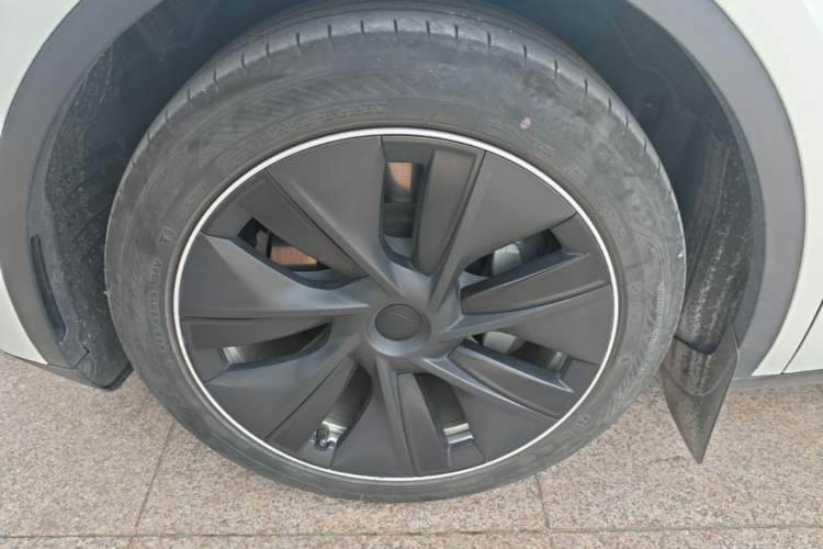 Used Tesla Model Y 2022 Revised Version Rear-Wheel Drive Exterior 3