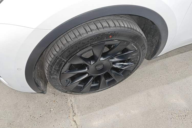 Used Tesla Model Y 2022 Rear-Wheel-Drive Version Exterior 4