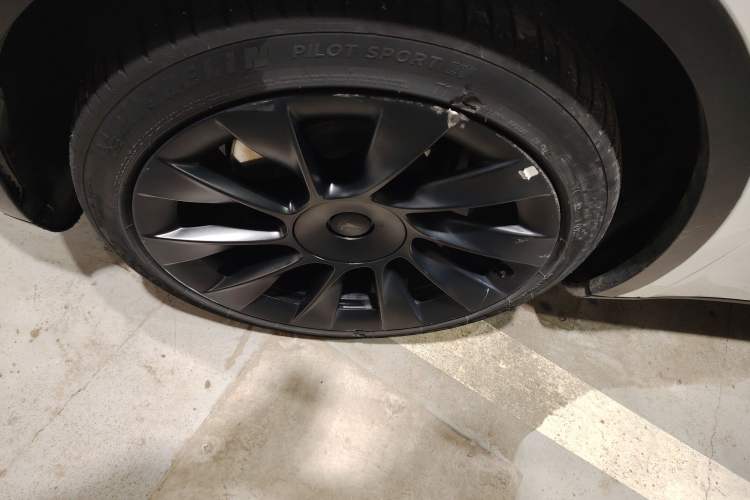 Used Tesla Model Y 2022 Revised Version Long-Range All-Wheel Drive Exterior 4