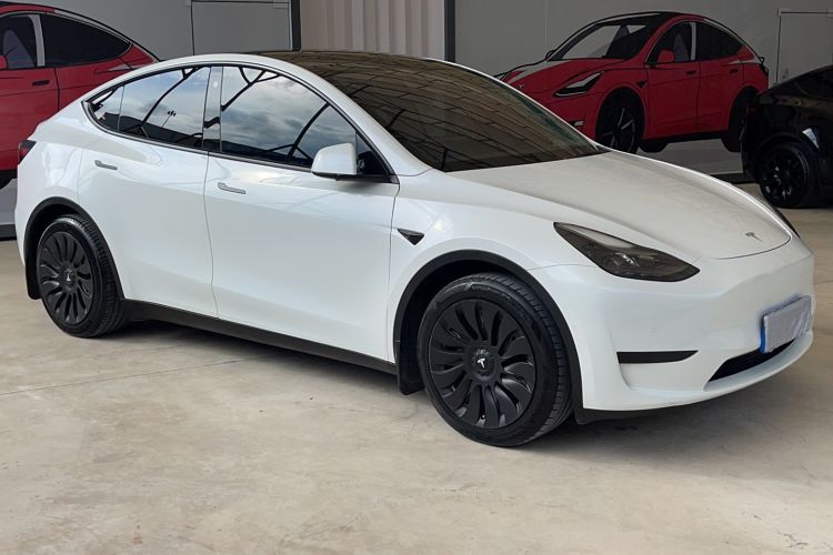 Used Tesla Model Y 2022 Rear-Wheel-Drive Version Exterior 4