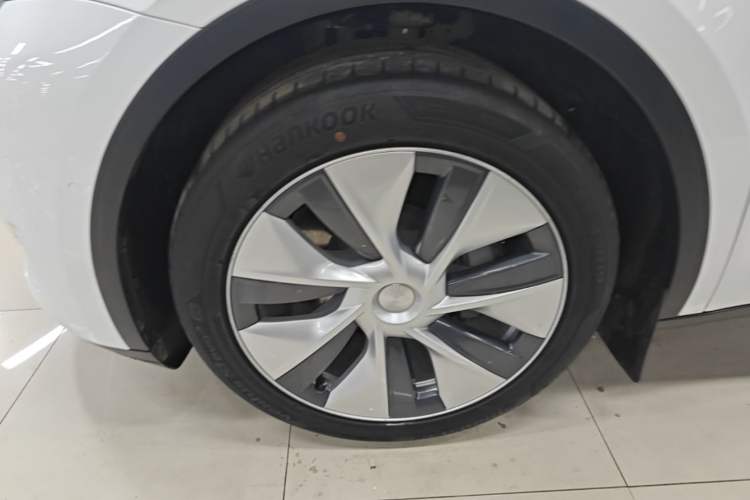 Used Tesla Model Y 2022 Long-Range All-Wheel-Drive Version Exterior 4