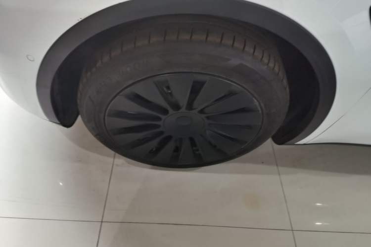 Used Tesla Model Y 2022 Rear-Wheel-Drive Version Exterior 4