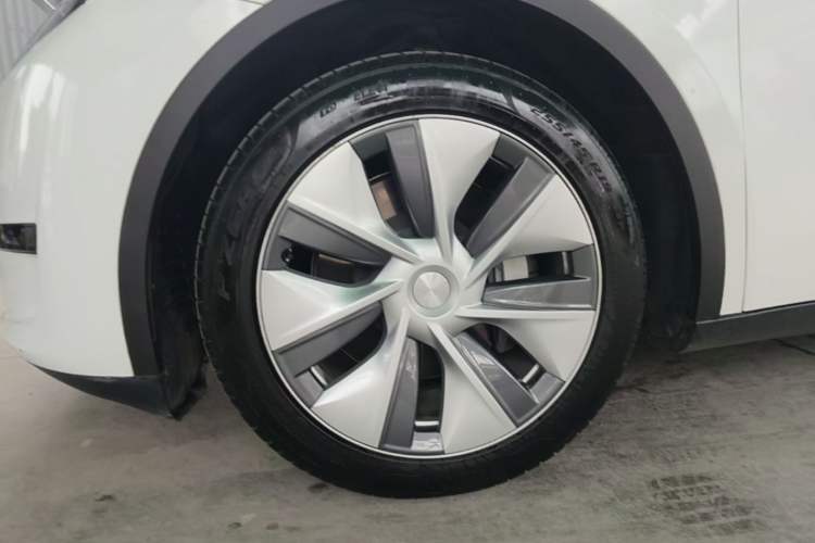 Used Tesla Model Y 2022 Rear-Wheel-Drive Version Exterior 4