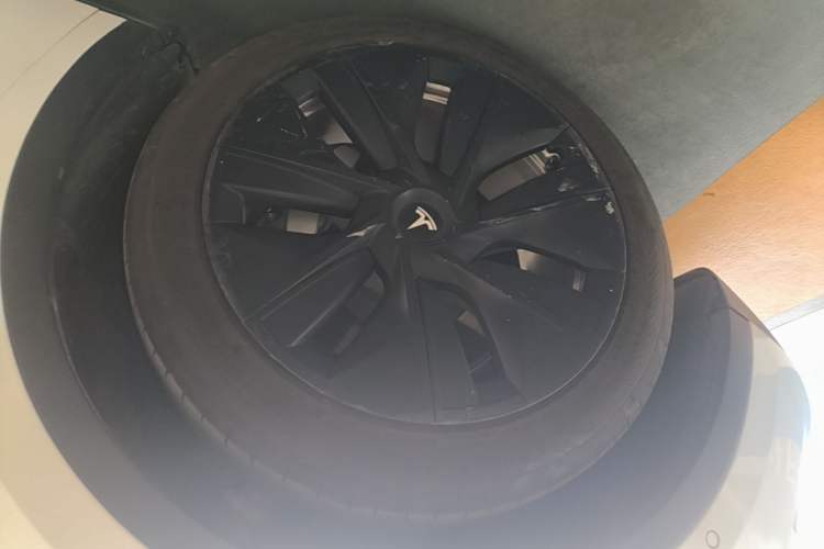 Used Tesla Model Y 2022 Rear-Wheel-Drive Version Exterior 4