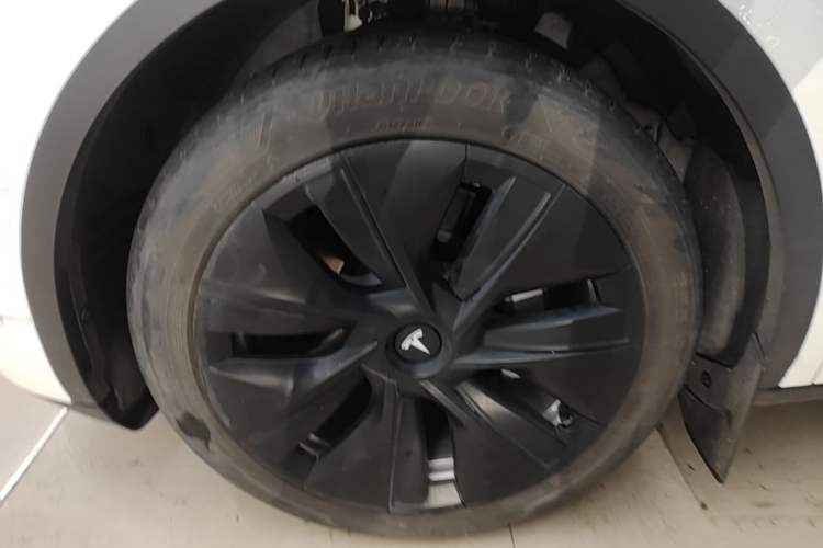 Used Tesla Model Y 2022 Long-Range All-Wheel-Drive Version Exterior 4