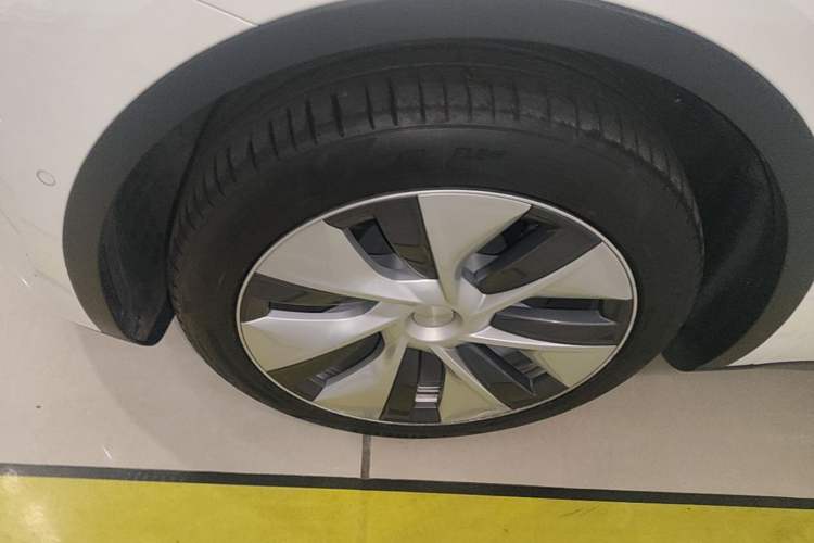 Used Tesla Model Y 2022 Rear-Wheel-Drive Version Exterior 4