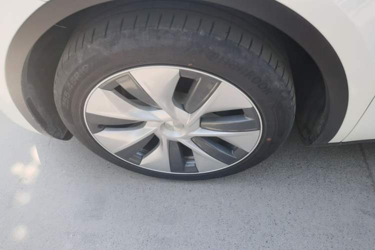 Used Tesla Model Y 2022 Rear-Wheel-Drive Version Exterior 4