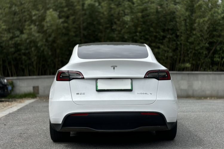 Used Tesla Model Y 2022 Revised Version Rear-Wheel Drive Exterior 4