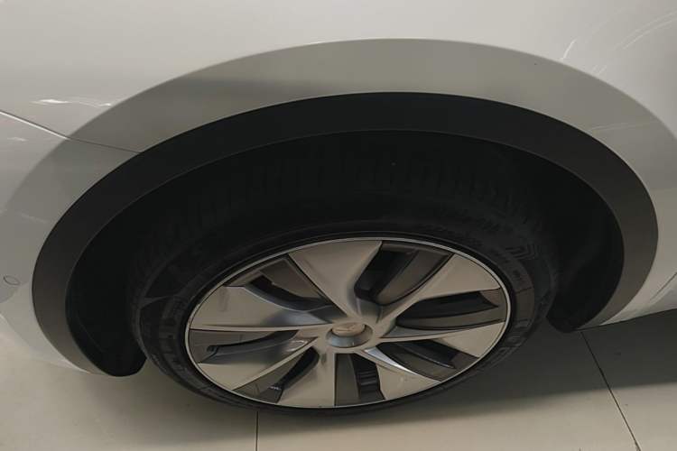 Used Tesla Model Y 2022 Rear-Wheel-Drive Version Exterior 4