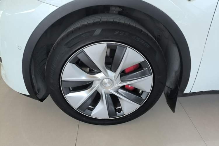 Used Tesla Model Y 2022 Rear-Wheel-Drive Version Exterior 4