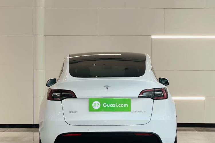 Used Tesla Model Y 2022 Revised Version Long-Range All-Wheel Drive Exterior 4