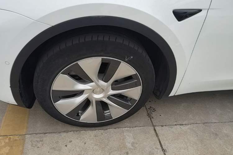 Used Tesla Model Y 2022 Long-Range All-Wheel-Drive Version Exterior 4