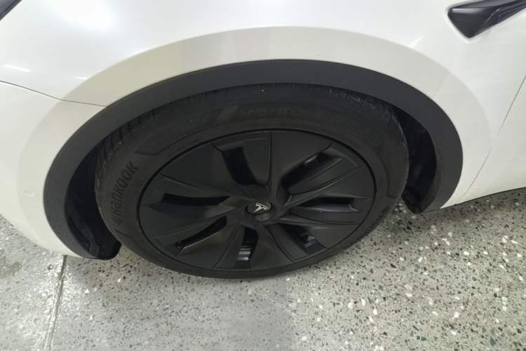 Used Tesla Model Y 2022 Long-Range All-Wheel-Drive Version Exterior 4