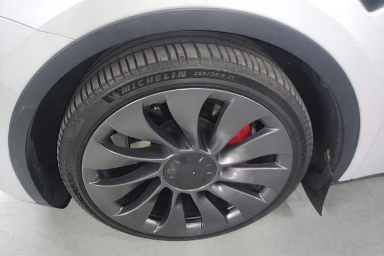 Used Tesla Model Y 2022 Performance High-Performance All-Wheel-Drive Version Exterior 4