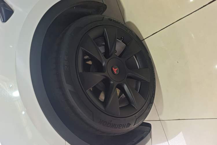 Used Tesla Model Y 2022 Rear-Wheel-Drive Version Exterior 4