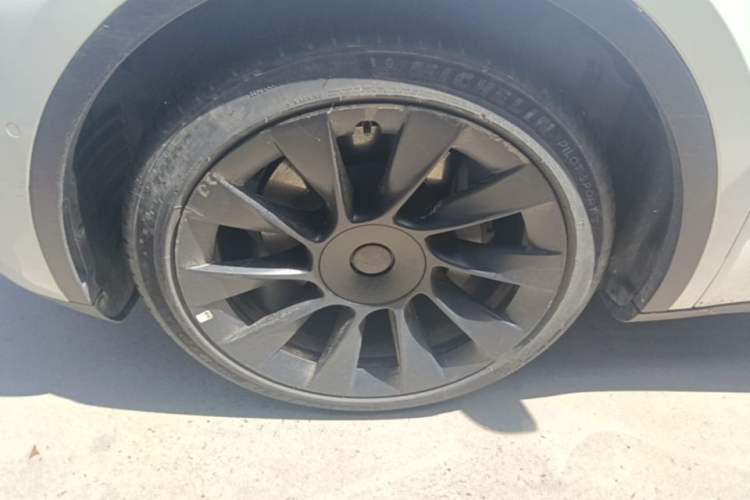 Used Tesla Model Y 2022 Revised Version Rear-Wheel Drive Exterior 4