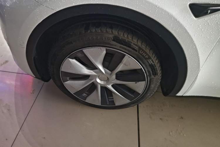 Used Tesla Model Y 2022 Rear-Wheel-Drive Version Exterior 4