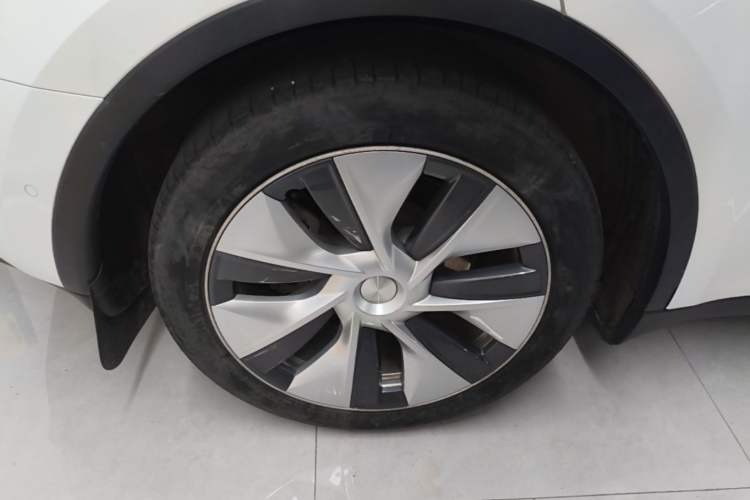 Used Tesla Model Y 2022 Revised Version Rear-Wheel Drive Exterior 5