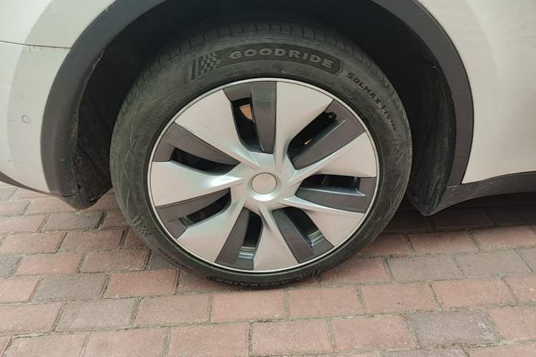 Used Tesla Model Y 2022 Long-Range All-Wheel-Drive Version Exterior 5