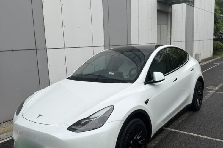 Used Tesla Model Y 2022 Rear-Wheel-Drive Version Exterior 5