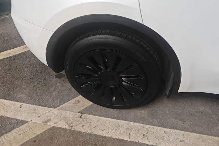 Used Tesla Model Y 2022 Long-Range All-Wheel-Drive Version Exterior 5