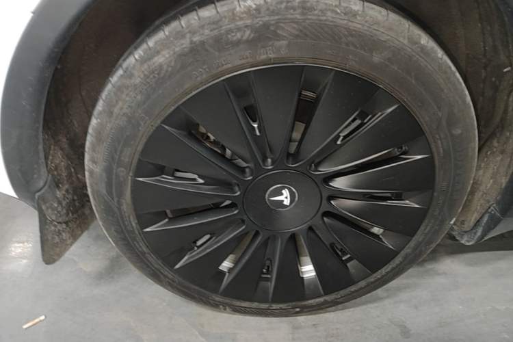Used Tesla Model Y 2022 Rear-Wheel-Drive Version Exterior 5