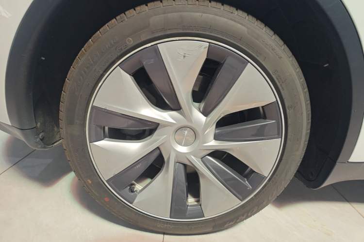 Used Tesla Model Y 2022 Rear-Wheel-Drive Version Exterior 5