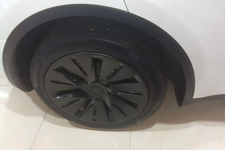Used Tesla Model Y 2022 Revised Version Long-Range All-Wheel Drive Exterior 5