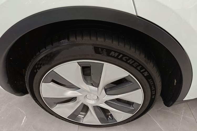 Used Tesla Model Y 2022 Rear-Wheel-Drive Version Exterior 5