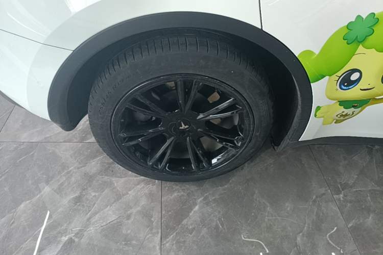 Used Tesla Model Y 2022 Revised Version Rear-Wheel Drive Exterior 5