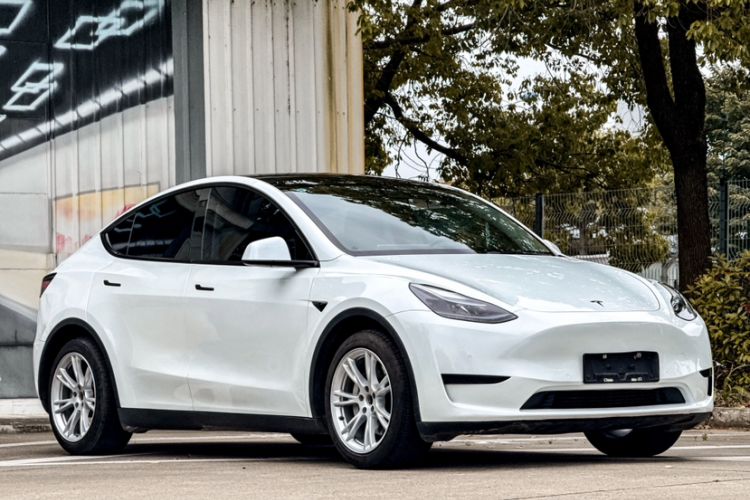 Used Tesla Model Y 2022 Rear-Wheel-Drive Version Exterior 5