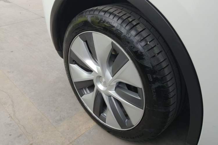 Used Tesla Model Y 2022 Rear-Wheel-Drive Version Exterior 5
