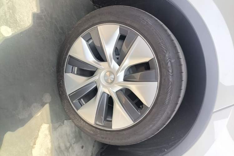 Used Tesla Model Y 2022 Rear-Wheel-Drive Version Exterior 5