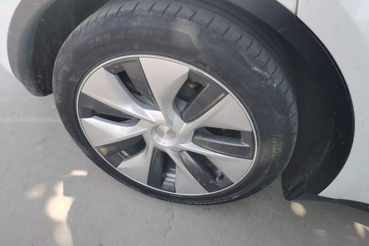 Used Tesla Model Y 2022 Rear-Wheel-Drive Version Exterior 5