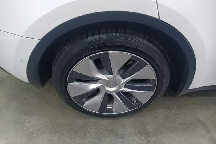Used Tesla Model Y 2022 Revised Version Rear-Wheel Drive Exterior 5
