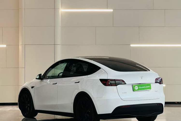 Used Tesla Model Y 2022 Revised Version Long-Range All-Wheel Drive Exterior 5