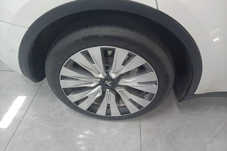 Used Tesla Model Y 2022 Rear-Wheel-Drive Version Exterior 5