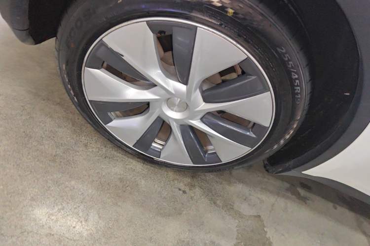 Used Tesla Model Y 2022 Revised Version Rear-Wheel Drive Exterior 5