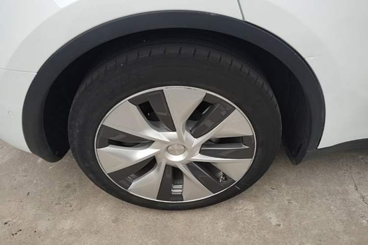 Used Tesla Model Y 2022 Long-Range All-Wheel-Drive Version Exterior 5