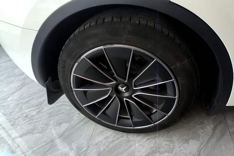 Used Tesla Model Y 2022 Revised Version Rear-Wheel Drive Exterior 5