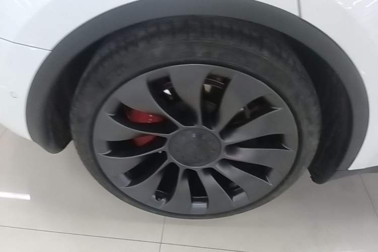 Used Tesla Model Y 2022 Performance High-Performance All-Wheel-Drive Version Exterior 5