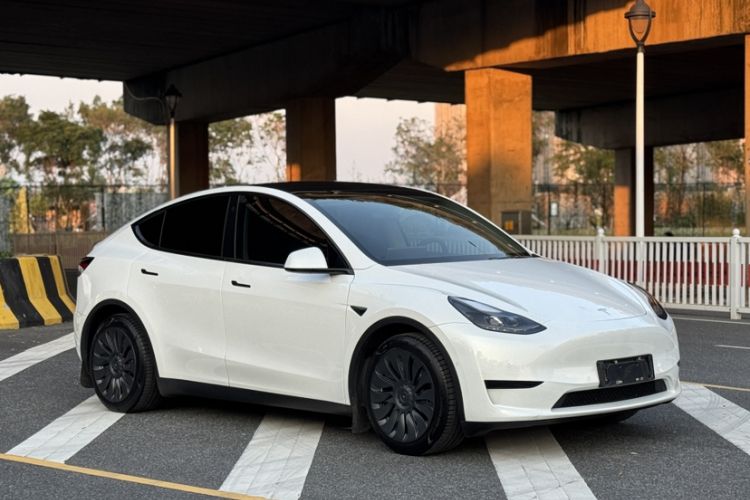 Used Tesla Model Y 2022 Rear-Wheel-Drive Version Exterior 5