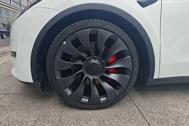 Used Tesla Model Y 2022 Performance High-Performance All-Wheel-Drive Version Exterior 5