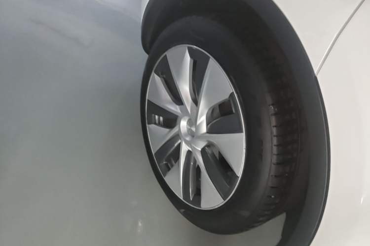 Used Tesla Model Y 2022 Rear-Wheel-Drive Version Exterior 5
