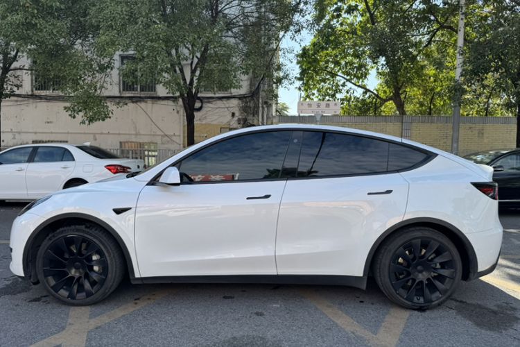 Used Tesla Model Y 2022 Revised Version Rear-Wheel Drive Exterior 5