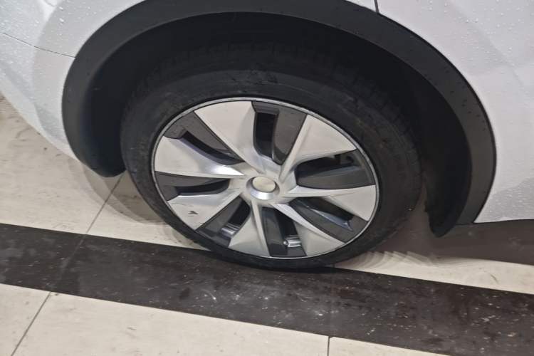Used Tesla Model Y 2022 Rear-Wheel-Drive Version Exterior 5